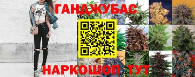 мяу мяу кристалл Аша